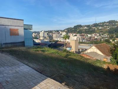 imagem-miniatura