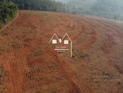 Fazenda para Venda, em Oliveira, bairro Zona Rural
