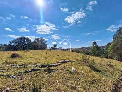 Terreno Comercial para Venda, em Oliveira, bairro Martins