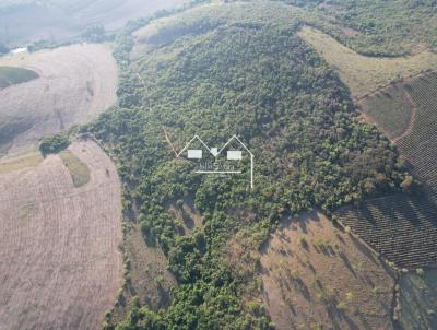 Fazenda para Venda, em Oliveira, bairro Zona Rural