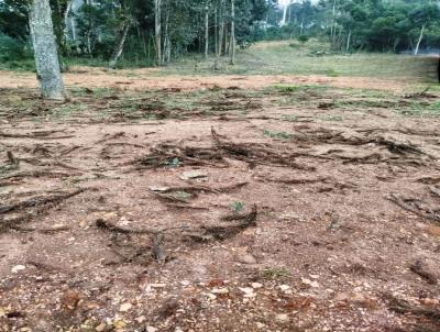 Terreno para Venda, em S�o Bento do Sul, bairro Serra Alta