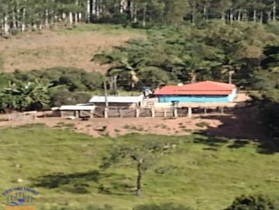 S�tio para Venda, em Campestre, bairro Campestre, 3 dormit�rios, 2 banheiros, 1 su�te, 2 vagas