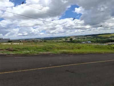 Terreno para Venda, em S�o Jos� do Cedro, bairro Loteamento Alta Colina