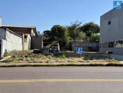 Terreno Residencial para Venda, em Erechim, bairro Linho