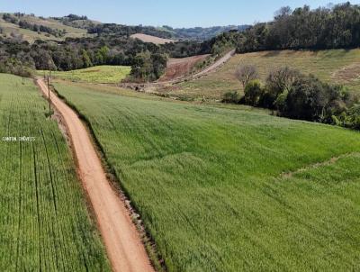 �rea Rural para Venda, em S�o Jos� do Cedro, bairro LINHA SANTO ISIDORO