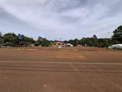 Terreno para Venda, em S�o Jos� do Cedro, bairro LOTEAMENTO GRAF