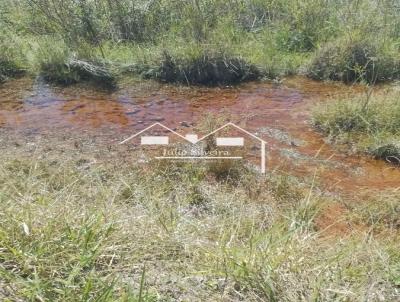 Fazenda para Venda, em Oliveira, bairro Zona Rural