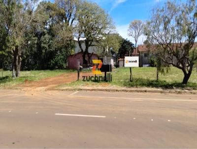 Terreno para Venda, em Guarapuava, bairro Dos Estados