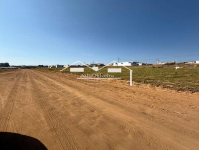 Lote para Venda, em Oliveira, bairro C�sar Almeida 2