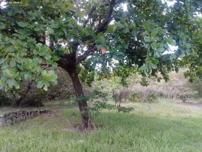 �rea para Venda, em Itabora�, bairro Quissama