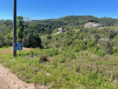 Terreno Residencial para Venda, em Erechim, bairro S�o Caetano