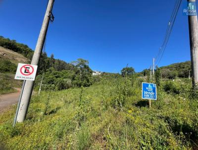 Terreno Residencial para Venda, em Erechim, bairro Esperan�a