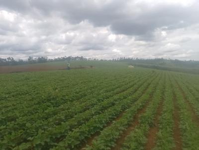 Terreno para Venda, em Entre Rios de Minas, bairro Zona Rural
