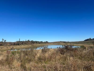 Campo para Venda, em Santana do Livramento, bairro 1� Subdistrito, Florentina / Ibiquisinho
