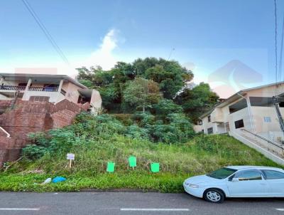 Terreno para Venda, em Conc�rdia, bairro Salete