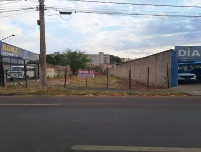 Terreno para Venda, em Mat�o, bairro IV Centen�rio