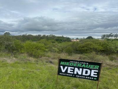 Campo para Venda, em Santana do Livramento, bairro Cerro de Palomas