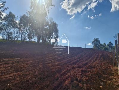 Fazenda para Venda, em Oliveira, bairro Zona Rural