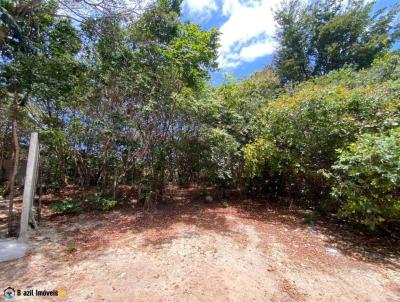 Terreno para Venda, em Tibau do Sul, bairro Praia de Pipa