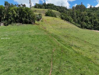 �rea Rural para Venda, em S�o Jos� do Cedro, bairro Linha Seis Barras
