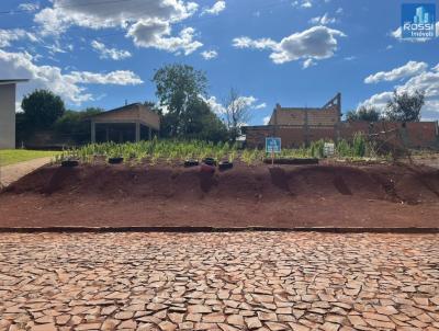 Terreno Residencial para Venda, em Erechim, bairro Agr�cola