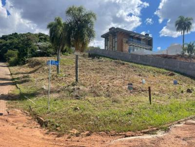 Terreno Residencial para Venda, em Erechim, bairro S�o Caetano