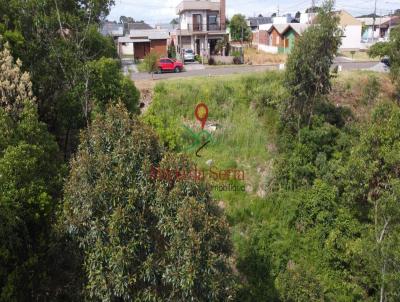 Terreno para Venda, em Canela, bairro Vista do Vale