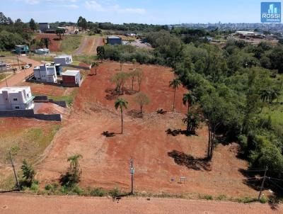 Terreno Comercial para Venda, em Erechim, bairro Frinape