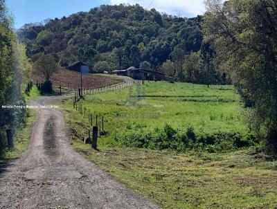 Ch�cara para Venda, em Pi�n, bairro trigolandia