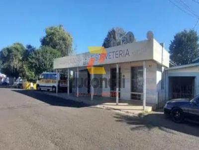 Comercial para Venda, em Guarapuava, bairro Vila Bela