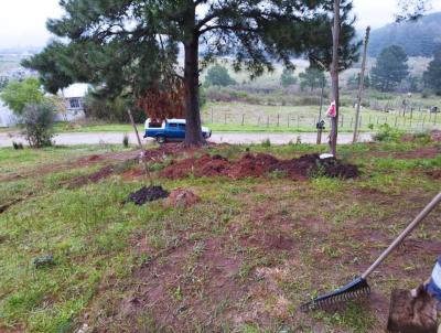 Terreno para Venda, em Santana do Livramento, bairro Km 5