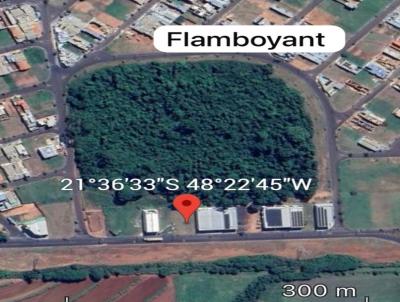 Terreno para Venda, em Mat�o, bairro Parque Flamboyant