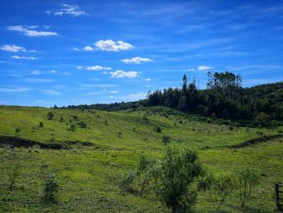 Fazenda para Venda, em Campo Alegre, bairro Tijucume