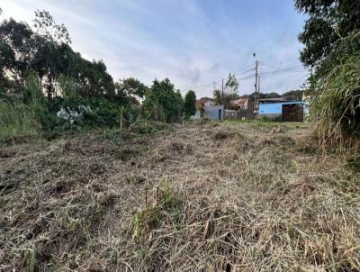 Terreno para Venda, em Itanha�m, bairro Jd Lindomar