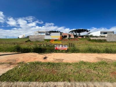 Terreno para Venda, em Guarapuava, bairro Industrial