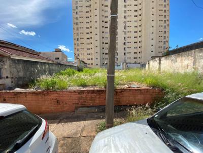 Terreno para Venda, em Presidente Prudente, bairro S�o Jorge, Vl.