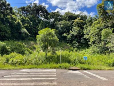 Terreno Comercial para Venda, em Erechim, bairro Tr�s Vendas