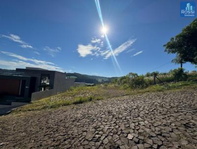 Terreno Residencial para Venda, em Bar�o de Cotegipe, bairro 