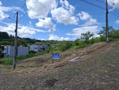 Terreno para Venda, em S�o Jos� do Cedro, bairro Loteamento Jac�ski II