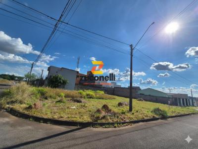 Terreno para Venda, em Guarapuava, bairro Cascavel
