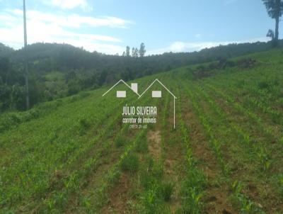 Fazenda para Venda, em Oliveira, bairro Zona Rural