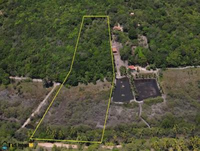 Terreno para Venda, em Vila Flor, bairro Entre Rios