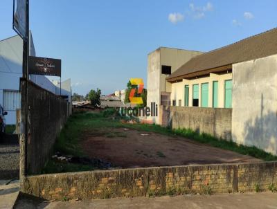 Terreno para Venda, em Pinh�o, bairro Pinh�o