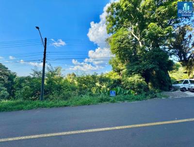 Ch�cara para Venda, em Erechim, bairro Vale Dourado