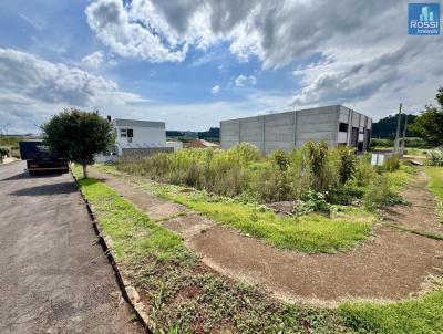Terreno Residencial para Venda, em Erechim, bairro Demoliner