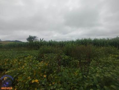 Ch�cara para Venda, em Alfenas, bairro Alfenas