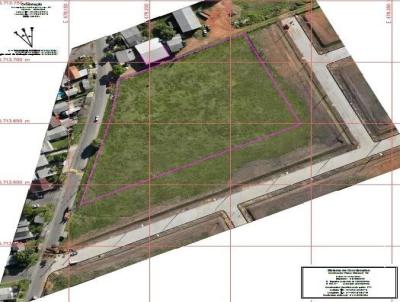 �rea para Venda, em Port�o, bairro S�o Jorge
