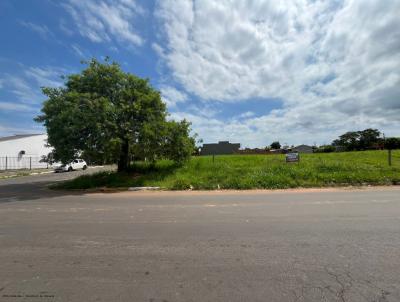 Terreno para Venda, em Port�o, bairro S�o Jorge