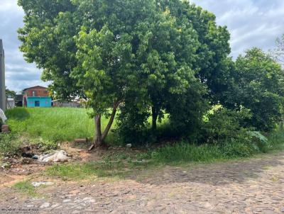 Terreno para Venda, em Port�o, bairro S�o Jorge