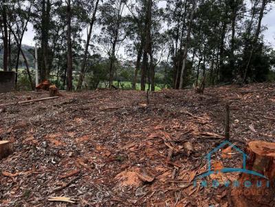Terreno para Venda, em S�o Paulo, bairro Fl�rida Paulista
